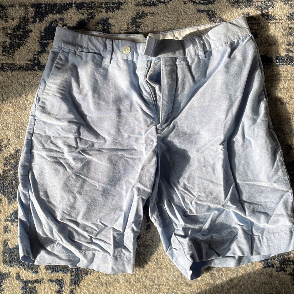 Polo Ralph Lauren Blue Shorts (men’s size 32)